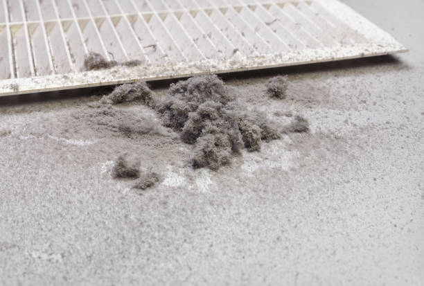 Affordable HVAC Duct Cleaning in KY